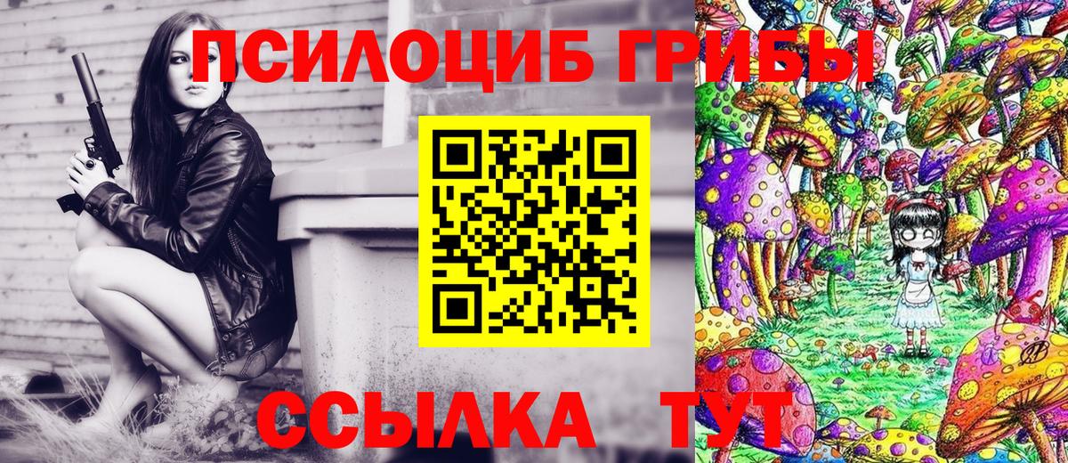 как найти закладки  Вход с VPN  Знаменск  Галлюциногенные грибы GOLDEN TEACHER  Псилоцибиновые грибы мицелий 